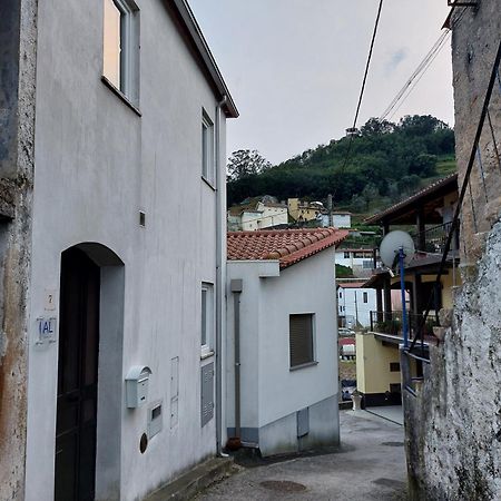 Casa Vale Do Rio Villa Penacova Eksteriør bilde